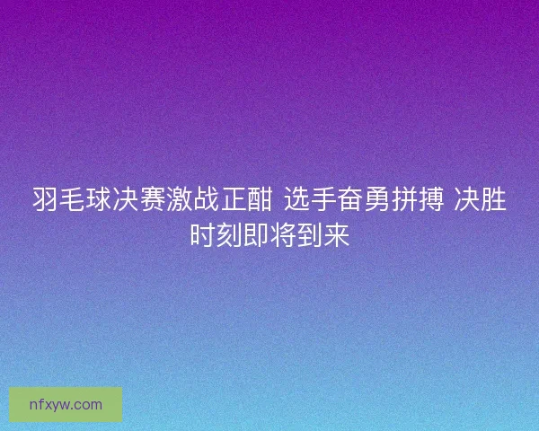 羽毛球决赛激战正酣 选手奋勇拼搏 决胜时刻即将到来 羽毛球决赛激战正酣 选手奋勇拼搏 决胜时刻即将到来