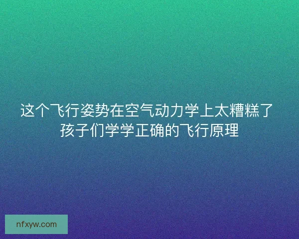 这个飞行姿势在空气动力学上太糟糕了 孩子们学学正确的飞行原理 这个飞行姿势在空气动力学上太糟糕了 孩子们学学正确的飞行原理