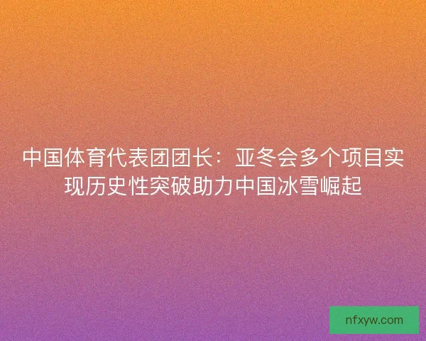 中国体育代表团团长:亚冬会多个项目实现历史性突破助力中国冰雪崛起 中国体育代表团团长:亚冬会多个项目实现历史性突破助力中国冰雪崛起